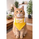 Minikpaw aksesuar Kedi ve Küçük Irk Köpek Sarı bahçivan Fular