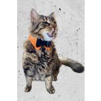 Minikpaw aksesuar Papyonlu Yakalık (TURUNCU)