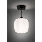 Minimal E-Ticaret Minimal İntense Silver ve White Plafonyer ( Beyaz Cam ) Cam Avize Siyah