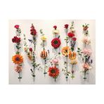 Minimalisfy Renkli Çiçeklerle Dolu Stüdyo Fonu 200x150cm Yüksek Kalite Baskı İle Canlı Görünüm