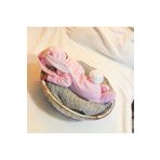 Minimus Yeni Doğan Kız Bebek Tavşanlı Tulum Hastane Çıkışı Pamuklu Yeni Doğan Bebek Tulum Takımı Pembe
