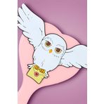 Miniso Harry Potter Lisanslı Saç Fırçası - Hedwig
