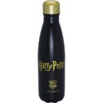 Miniso Harry Potter Lisanslı Yalıtımlı Çelik Termos (500 Ml)