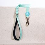 Mint Leash Kedi Köpek Sevk & Gezdirme Kayışı Köpek Uzatma Tasması