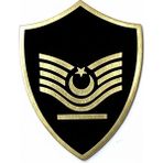 Minyatür Rütbe Astsubay Sağlık Sınıfı - Astsubay Başçavuş (Siyah Zemin Jandarma) - standart - Siyah - Altın