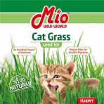 Mio Cat Grass Kedi Çimi