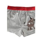 Miorre Erkek Çocuk Boxer-001 STD 3-4