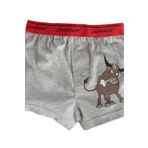 Miorre Erkek Çocuk Boxer-001 STD 5-6