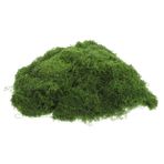 Mipcase Bitkiler İçin Yosun İç Mekan Dekoratif Yosun El Sanatları İçin Sahte Çim İçin Yosun 100g Gerçekçi Yapay Yosun