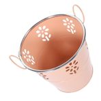 Mipcase Saksı Lavabo Altı Çöp Tenekesi Eski Sürahi Vazo Kovalar Kendi Kendine Sulama Temizle Vazo Çiçekler Için Vazolar Yetiştiriciler Balon Standı Kendini Sulayan Tencere Okaliptüs Ütü