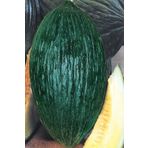 Miracle 10 gr Sulu Hasanbey Kavun Tohumu