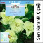 Miracle 190 Adet Sarı Karanfil Çiçeği Tohumu