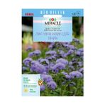 Miracle Ageratum Mexicanum Mavi Vapur Dumanı Çiçeği 1000 Tohum