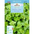 Miracle Mercanköşk 200 Tohum