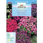 Miracle Tohum Rock Cress Aubrieta Karışık Renkli Obrizya Çiçeği (400 tohum)