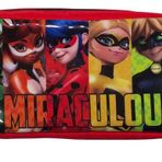Miraculous Ladybug Karakterleri Kalem Çantası 2125