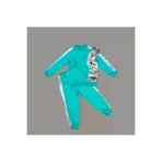 Miravm P62778S4905 Eterella Petli Pelüş Tavşan Desenli Likra Penye Kumaş Sweat Pantolonlu Kız 2Li Çocuk Takımı Mint Yeş