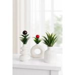 Miray Craft 3lü Iskandinav Tarzı Bohem Vazo Hediyelik Pinterest Pampas Vazosu Set Vazo Dekoratif Eşya (Çiçekler Dahil Değildir)