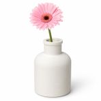 Mireva Mini Dekoratif Vazo, Beyaz, Taş Tozu, 10 cm, El Yapımı, Modern İskandinav Japandi Stili, Masa Üstü Çiçeklik