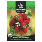 Mis Çiçek Çilek Tohumu 0.5 Gr Mis Çiçek