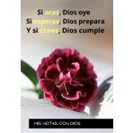 MIS NOTAS CON DIOS: Si oras Dios oye, si esperas Dios prepara, y si crees Dios cumple: TU CUADERNO IDEAL PARA ACERCARTE A DIOS