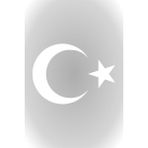 Misda Store Beyaz Renk Türk Bayrağı Sticker Ay Yıldız Araba Oto Sticker 30 cm x 22 cm
