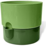 Misda Store Dora Saksı Tabaklı Çiçek Kaktüs Saksısı Parlak Plastik Saksı (Yeşil, 2 Litre)