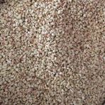 Mısır Koçan Granülü Kuş Kafes Altlığı 5 Kg