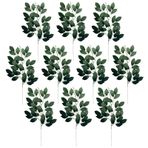 MISNODE 10 adet Sahte Yeşillik Dalları, Sahte Okaliptüs Wisteria Dut Banyan Dalları, Yapay Çiçekler Düğün Masa Centerpiece Ev Çiftlik Evi Dekor Için Çiftlik Evi Dekor(Hint inciri)