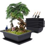 MissFox Bonsai Tabağı, Bonsai Antrenman Saksısı Plastik, Bahçe için Küçük Bitki Saksısı, 6 Parça Çiçek Saksısı, 6 Tepsi ve 3 Mini Bahçe Alet Seti, 16 x 12 x 6 cm