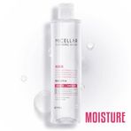 Missha Moisture 300 ml APIEU Micellar Temizleme Suyu