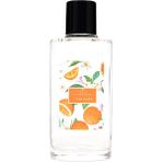Missi 100 ml Cam Şişe Botanical Orange Kokulu Kolonya - portakal