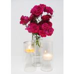 MİSSİ 15 CM CLEAR CAM MUMLUK VE TEALIGHT SETİ