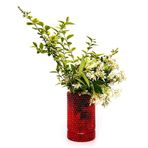 MİSSİ Kırmızı Diamond Cam Vazo/Mumluk(17 cm)