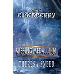 Missing Medallion (Sons of Elderberry, Band 3)