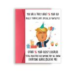 Missonemi Büyükbaba Büyükanne için Komik Trump 96. Doğum Günü Kartı, Kadınlar Erkekler için En İyi Donald 96. Doğum Günü Hediyesi, Yaşlı Baba Anne için 96 Yaşında Tatlı Doğum Günü Fikri, Mizah 96.