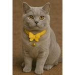 MIT Kedi Boyun Tasması Kelebekli Zilli