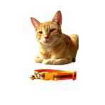 Mıt Kedi Tasması Fosforlu Şeritli