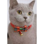 MIT Scotch Desenli Papyonlu Kedi Tasması
