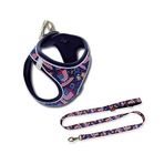 Mita Air Mesh 2'li Bundle Set Kedi Köpek Göğüs Tasması + Köpek Gezdirme Tasması/Kayışı (Dizayn, 2XS)
