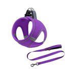 Mita Air Mesh 2'li Bundle Set Kedi Köpek Göğüs Tasması + Köpek Gezdirme Tasması/Kayışı (Mor, L)