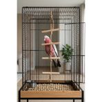 Mivra Pets Papağan Oyuncağı 80 cm Tırmanma Kemirme Doğal Ahşap Büyük Papağan Kuş Oyuncağı Jüt Halat