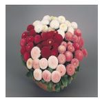 Mix Katmerli Bellis Perennis Ponpon İngiliz Çayır Papatyası Çiçeği Tohumu(100 Tohum)