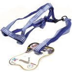 Mixpet 26-40 cm Renkli Köpek Göğüs Tasma Takımı