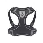 Mixpet L Gezdirmeli Köpek Armalı Göğüs Tasması