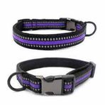 Mixpet Small 2 cm 27-40 cm Reflektörlü Küçük Irk Köpek Mor Boyun Tasması