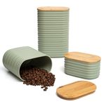Mixpresso 3 Parça Set Hava Geçirmez Plastik Kutu Bambu Kapaklı, Mutfak Tezgahı için Bidonlar, Kahve ve Şeker Kutusu Seti, Dekoratif Şeker Kabı, Tezgah için Mutfak Dekoru