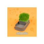 Miyamiss Hidroponik Topraksız Doğal Kedi Çim Yetiştirme Kabı/Kedi Çimi/Catnip