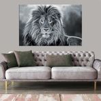 Miyrem (2730) Exclusive Serie" Siyah Beyaz Aslan Kanvas Tablo 40 x 60