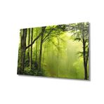 Miyrem Ağaç Orman Yeşil Manzara Cam Tablo 110X70- myrm10444